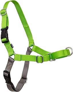 PetSafe Peitoral para cães Easy Walk sem puxar – o melhor arnês para ajudar a parar de puxar – Assuma o controle e ensina melhores maneiras de coleira – Ajuda a evitar que animais de estimação puxem