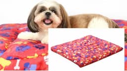 Cama Pet Luxo para Cachorros e Gatos – 43x63cm – Confortável, Acolchoada, Ideal para Shih Tzu, York, Poodle e Gatos – Antiderrapante, Design Colorido e Aconchegante