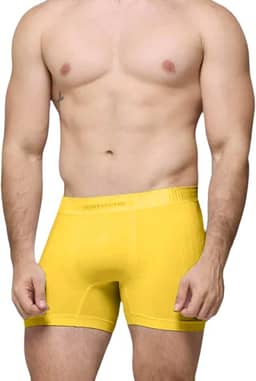 Cueca Boxer Sem Costura Selene Especial Final De Ano Cores Box Masculina Adulto