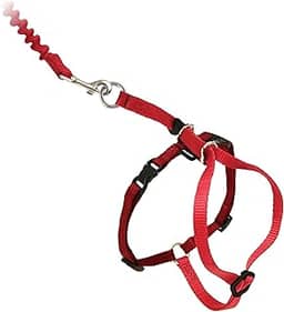 Peitoral e coleira elástica para gatos PetSafe Come With Me Kitty, pequeno, vermelho