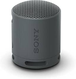 Sony SRS-XB100/B Sistemas de alto-falante sem fio portátil Preto