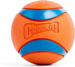 Bola Chuckit Ultra Ball para Cães, Grande, Laranja e Azul, 1 unidade