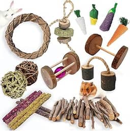 13 peças de brinquedos de porquinho-da-índia, conjunto de brinquedos de hamster de madeira para cuidados com os dentes, melhor escolha para coelhos, coelhos e chinchilas e gerbos mastigáveis
