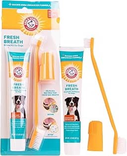Arm & Hammer Kit de cuidados dentários para cães com hálito fresco para animais de estimação - Inclui pasta de dente para cães, escova de dentes dupla face e escova de dedos - tratamento para mau