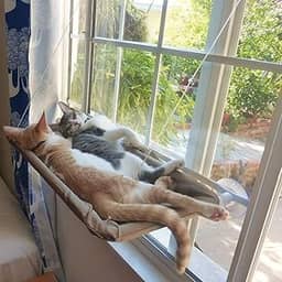 Homesen Rede para gatos em janela para gatos cama de gato respirável ventosas para banho de sol cama de rede para gatos cães