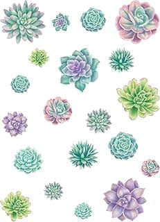Detalhes de suculentas Rustic Bloom – Tamanhos variados
