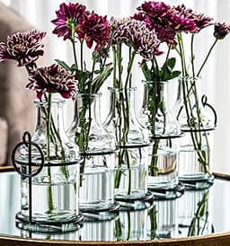 Vaso de flores de vidro com suporte de metal, os melhores vasos para flores, conjunto para decoração de casa, decorações de casamento, decoração de mesa, cozinha, banheiro, quarto, decoração de prateleira, melhor vaso moderno para arranjo de flores