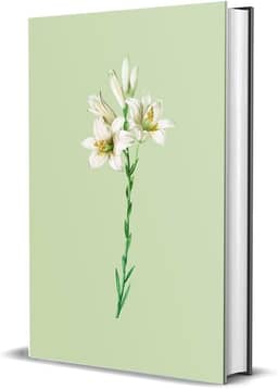 Bíblia Sagrada NVI - Lírios: Capa dura