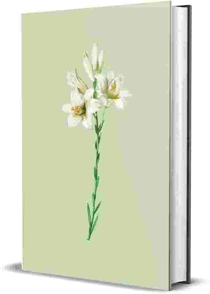 Bíblia Sagrada NVI - Lírios: Capa dura