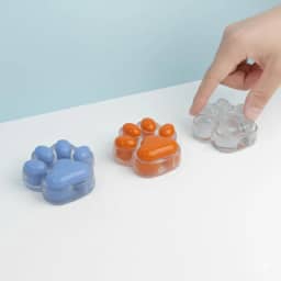 Patinha Cachorro Gato Taba Squishy Brinquedo Fidget Antistress Transparente (Colorido)