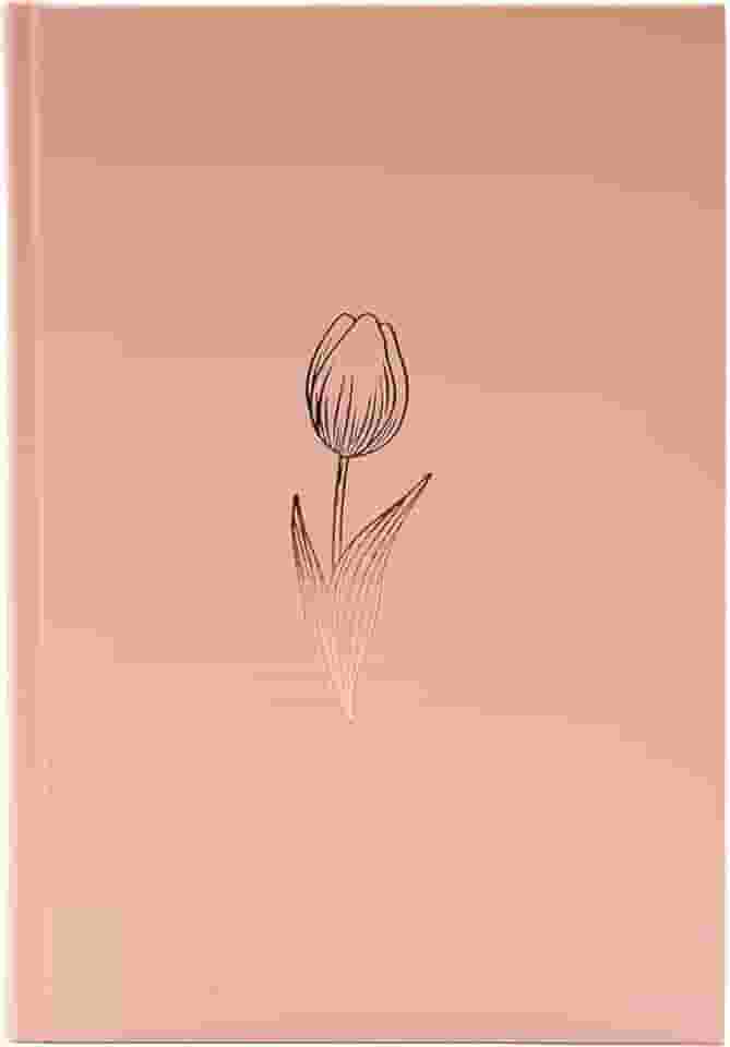 Bíblia NAA, Rose Tan, Capa Dura | SBB | Capa dura ilustrada, rose: Nova Almeida Atualizada (NAA)