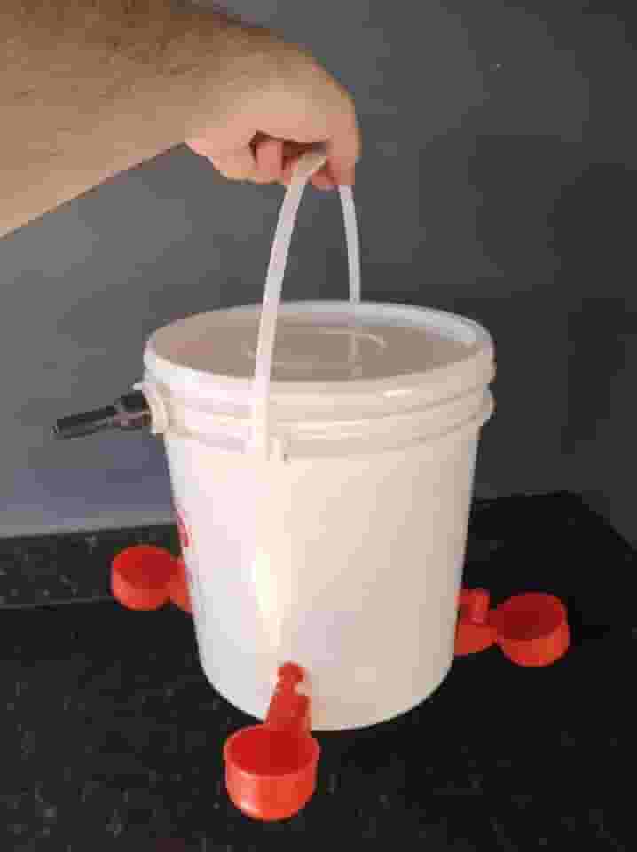 Bebedouro Pet Com Boia Mais 4 Copinhos autmáticos Para Aves Galinha Codorna e Outros