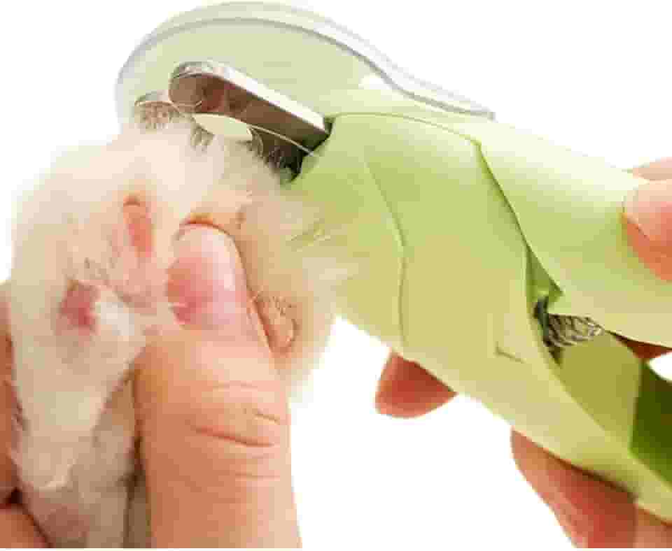 Cortador de Unhas para Pet com LED, 14,5 cm, Verde, Alicate Profissional para Cães e Gatos