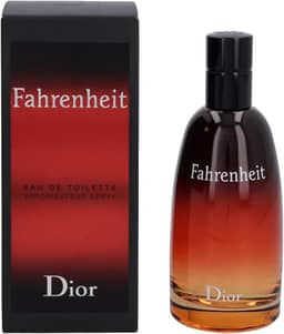 Perfume Masculino Dior Fahrenheit 100ml Edt