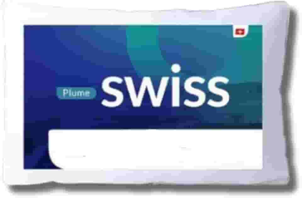 Travesseiro Swiss Harmonia Plume Fibra Confortável Alivio Siliconizada Moderno Noite De Sono Perfeita Ergonômico PREMIUM SYANG