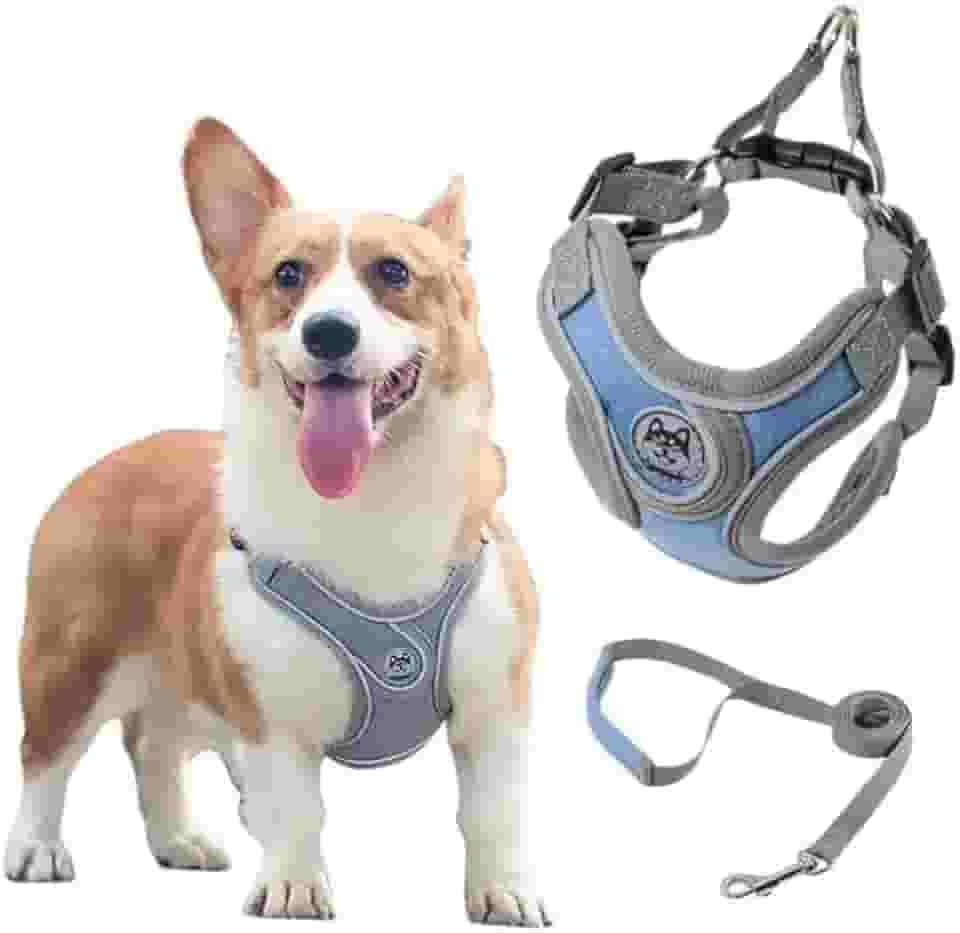 Coleira Peitoral para Cachorros Ajustável com Guia de Passeio (Rosa, G)