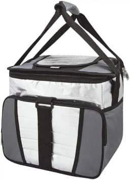 Mor - Ice Cooler 24 Litros com 1 Divisória