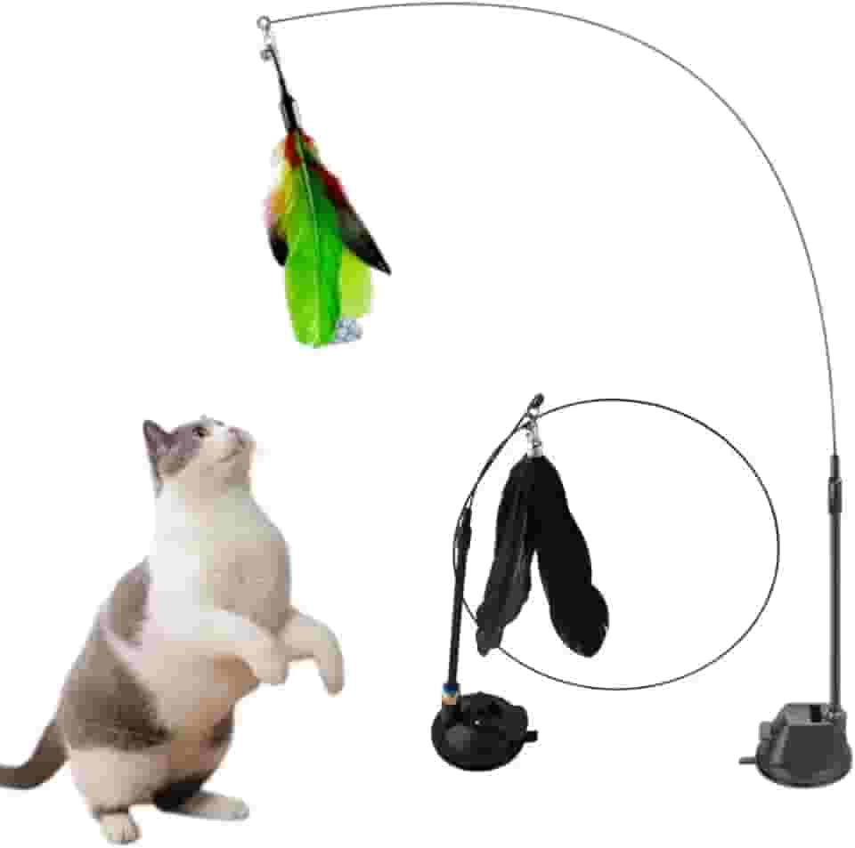 Brinquedo Gato Varinha Pássaro Com Ventosa Fixa Chao Parede Janela