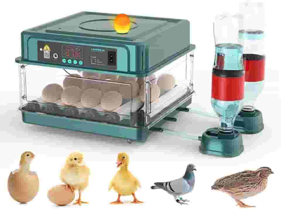 Incubadora Automática de Ovos 12-38 Ovos Máquina de Chocadeira Digital para Aves com Viragem Automática de Ovos, Controle de Temperatura E Umidade, Iluminação Led Eficiente para Galinhas,