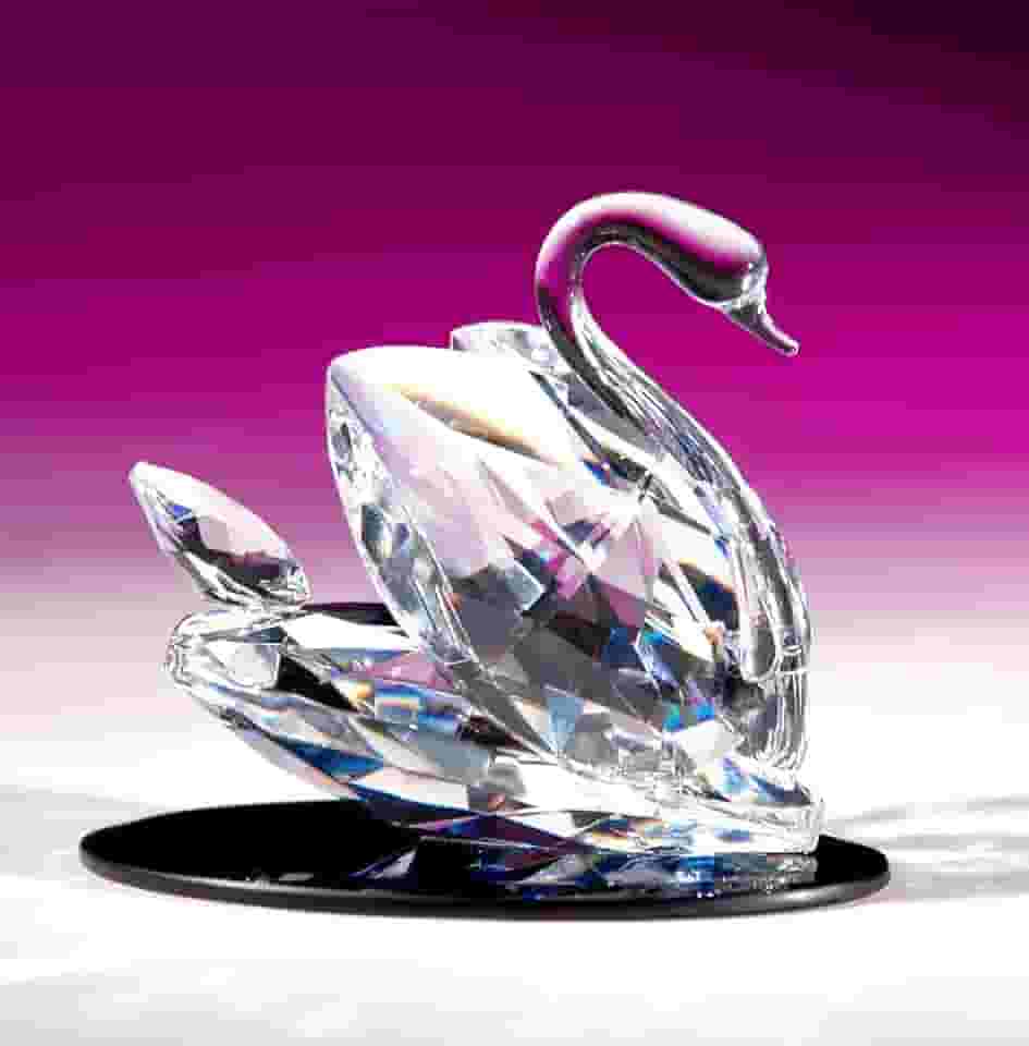 Cisne do Mundo de Cristal