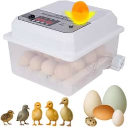 Joyfox Incubadora Automática 16-24 Ovos com Viragem Automática, Dupla Alimentação 127V/12V, LCD, Luz de Ovos e Modos Inteligentes – Ideal para Galinhas, Patos, Codornas e Gansos