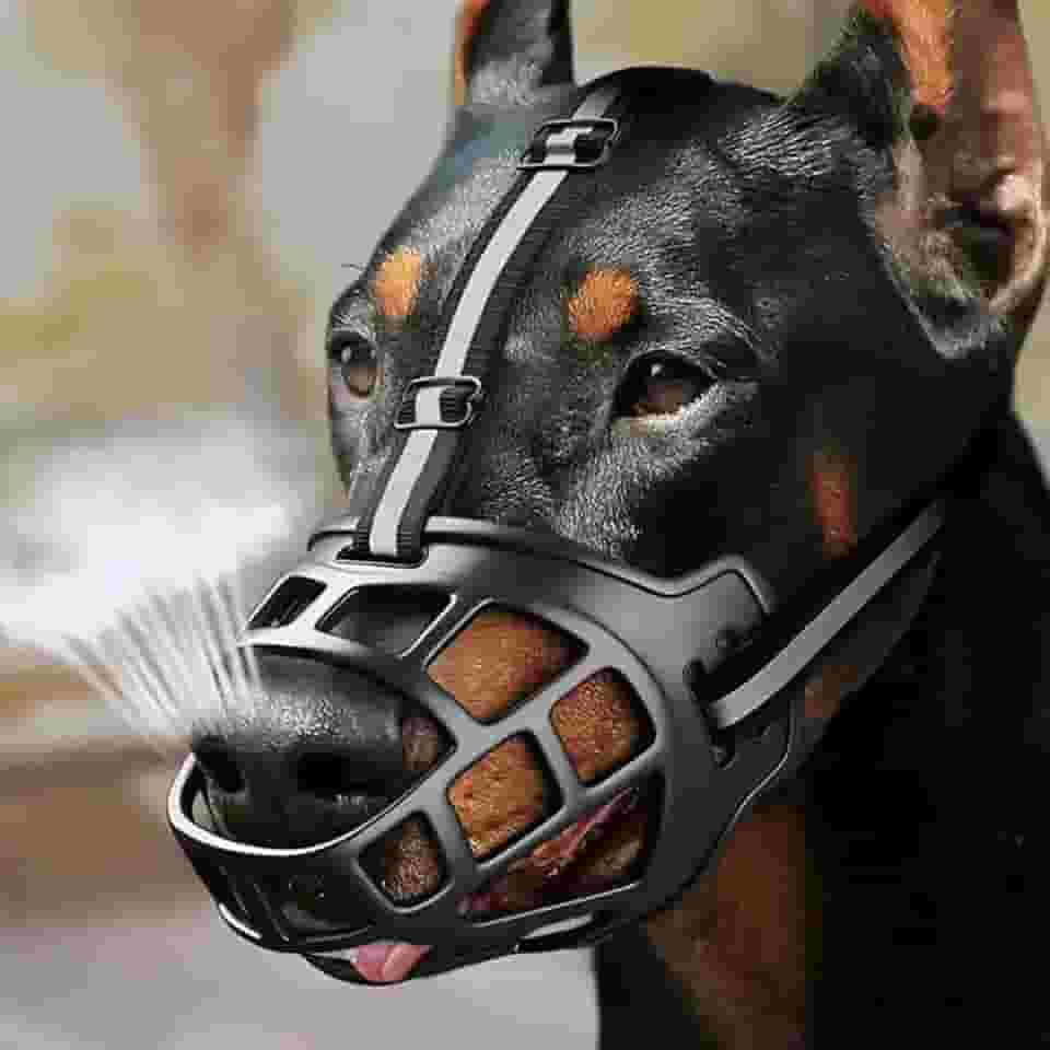 Focinheira de Segurança Respirável para Cães, com Faixa Refletiva, Ajustável, Material TPR e Nylon, Tamanhos: 0, 1, 2, 3, 4, 5, 6 (Número: 2)