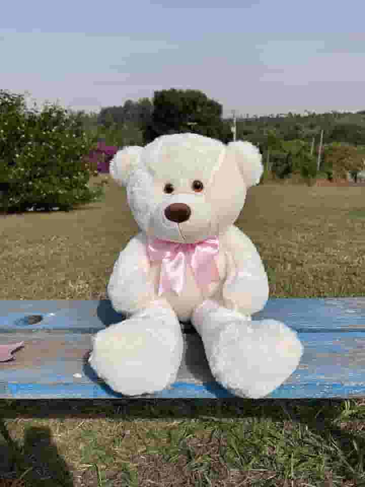 Urso Pelúcia Grande 60cm Hipoalergênico