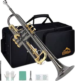 EASTROCK Conjunto de trompete padrão Bb Trumpet com estojo de transporte, luvas, bocal 7C, kit de limpeza, haste de afinação, níquel preto, artesanato esculpido à mão