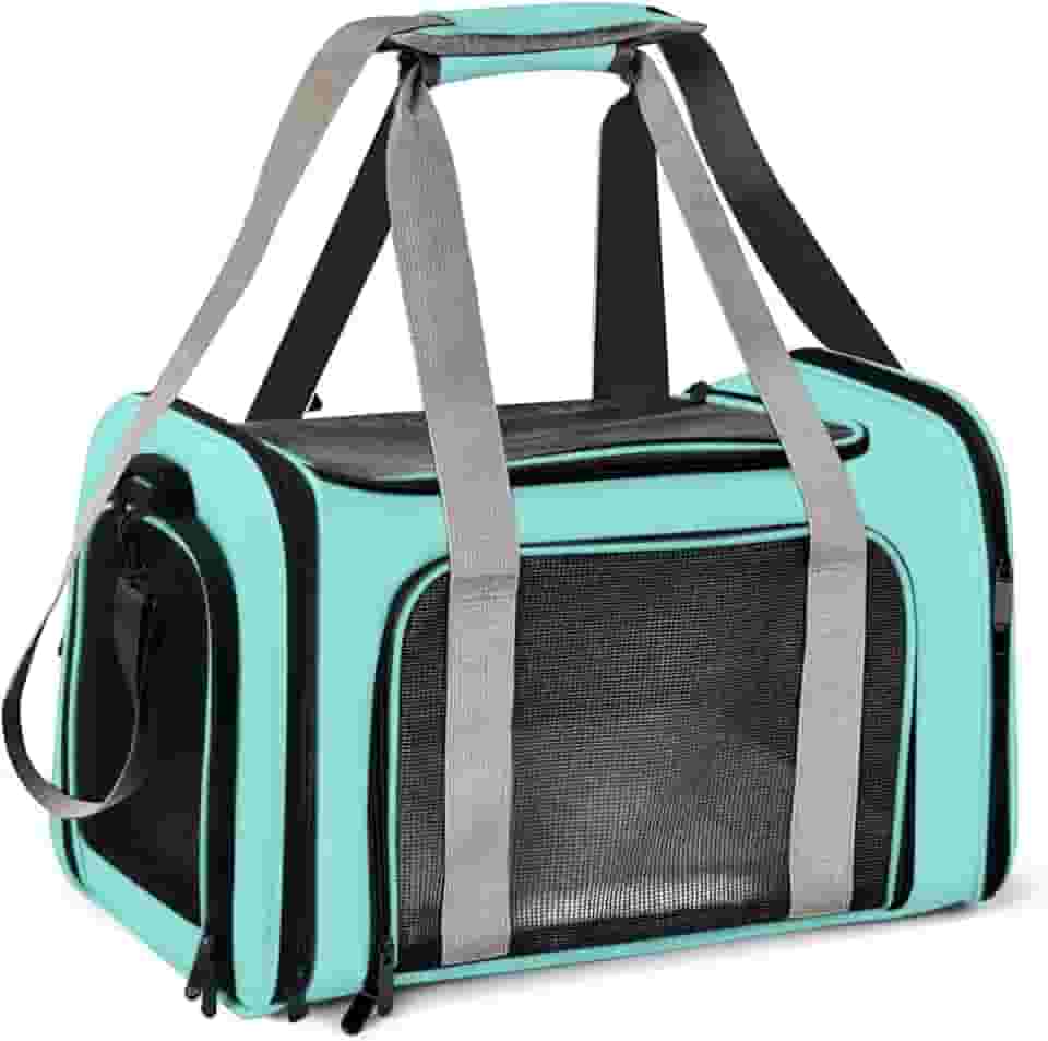 Bolsa Transporte Pet Ventilação em 4 lados 42 * 26 * 27 cm Não Se Deforma Facilmente Bolsa Transporte Pet Avião com Zíper liso Portátil + Bolsa de Mão Python Fly Verde